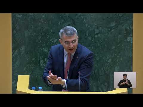 მამუკა მდინარაძის სიტყვით გამოსვლა პარლამენტში